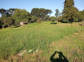 Edifício Vista Bela