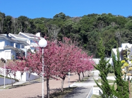 Edifício Vista Bela