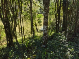 Edifício Vista Bela