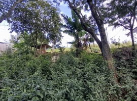 Edifício Vista Bela