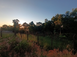 Edifício Vista Bela