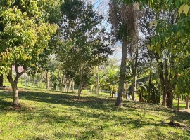 Edifício Vista Bela