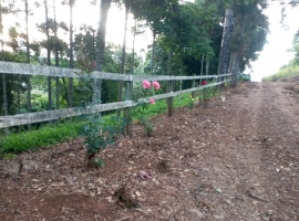 Edifício Vista Bela