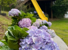 Edifício Vista Bela