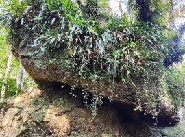 Edifício Vista Bela