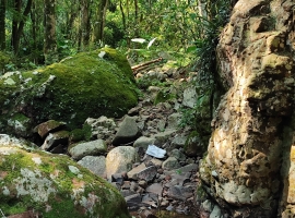Edifício Vista Bela