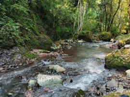 Edifício Vista Bela