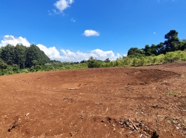 Edifício Vista Bela