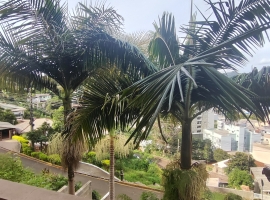 Edifício Vista Bela